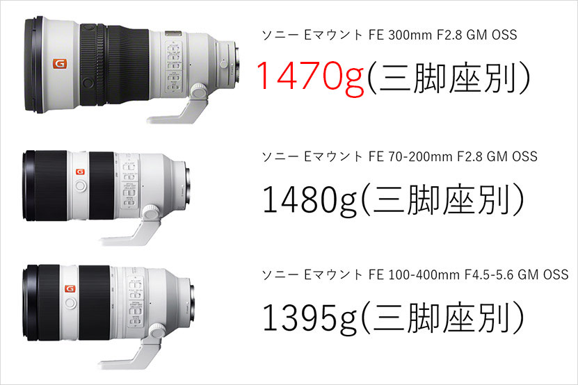 FE 300mm F2.8 GM OSS レビュー　ほかのレンズとの比較B