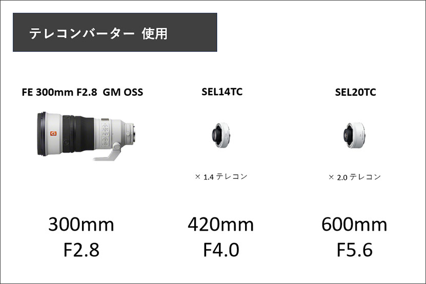 FE 300mm F2.8 GM OSS とテレコン